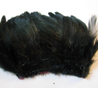 ������� ���� Hen feathers  ������ ( �� ����� �������� )